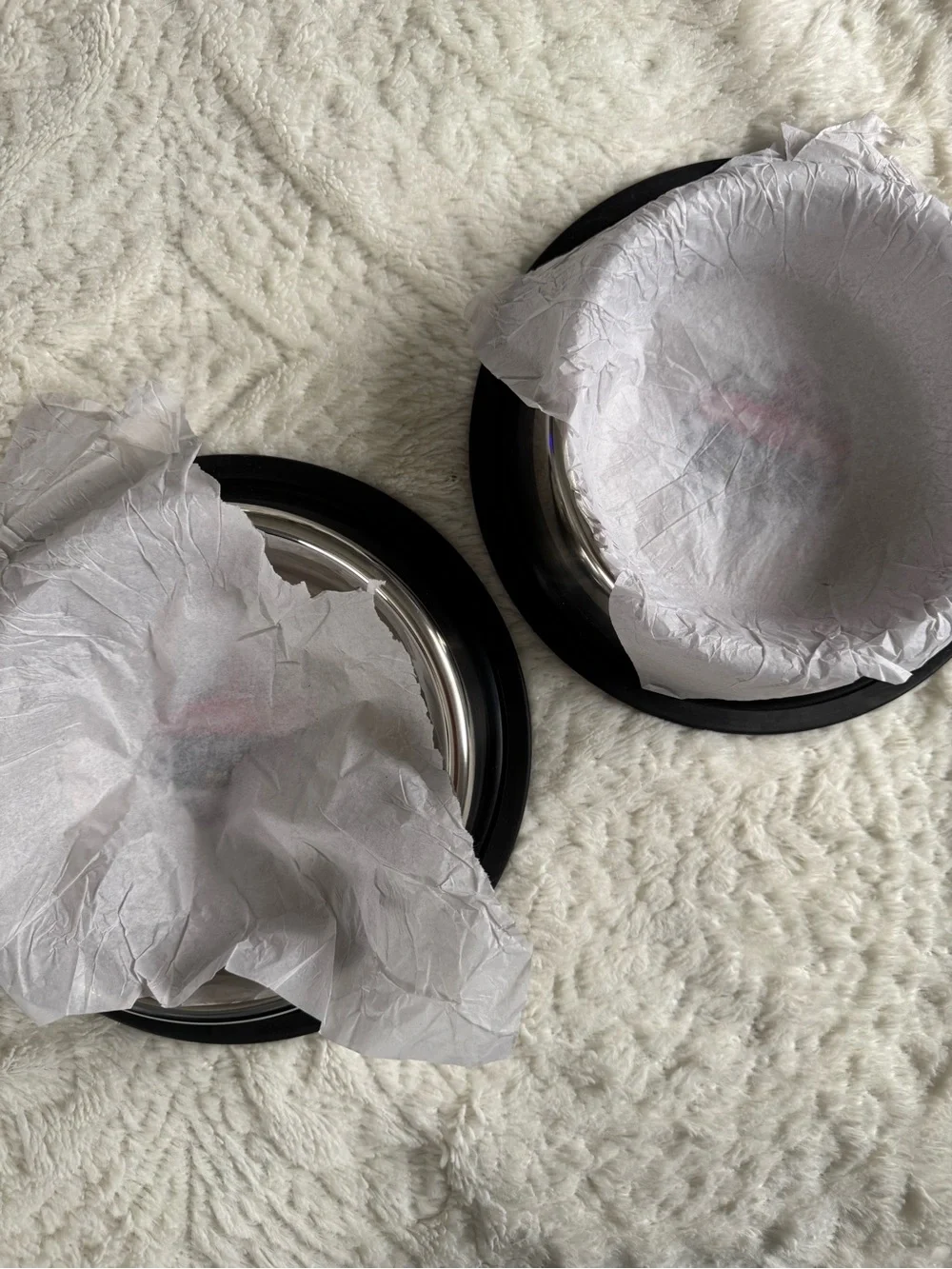 Stainless Steel Pet Bowl - Silver with Black Base (Set of 2)